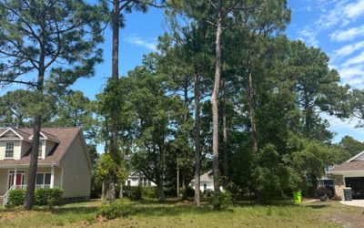 711 Bermuda Walk | Sea Trail Plantation