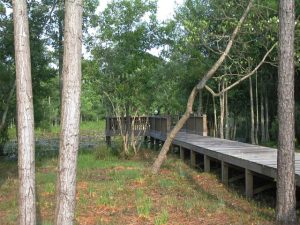 Seascape at Holden Plantation