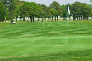 Sea Trail Plantation