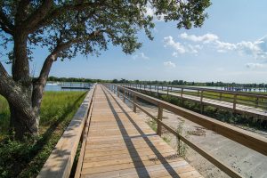 Bent Tree Plantation