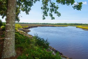 Winding River Plantation