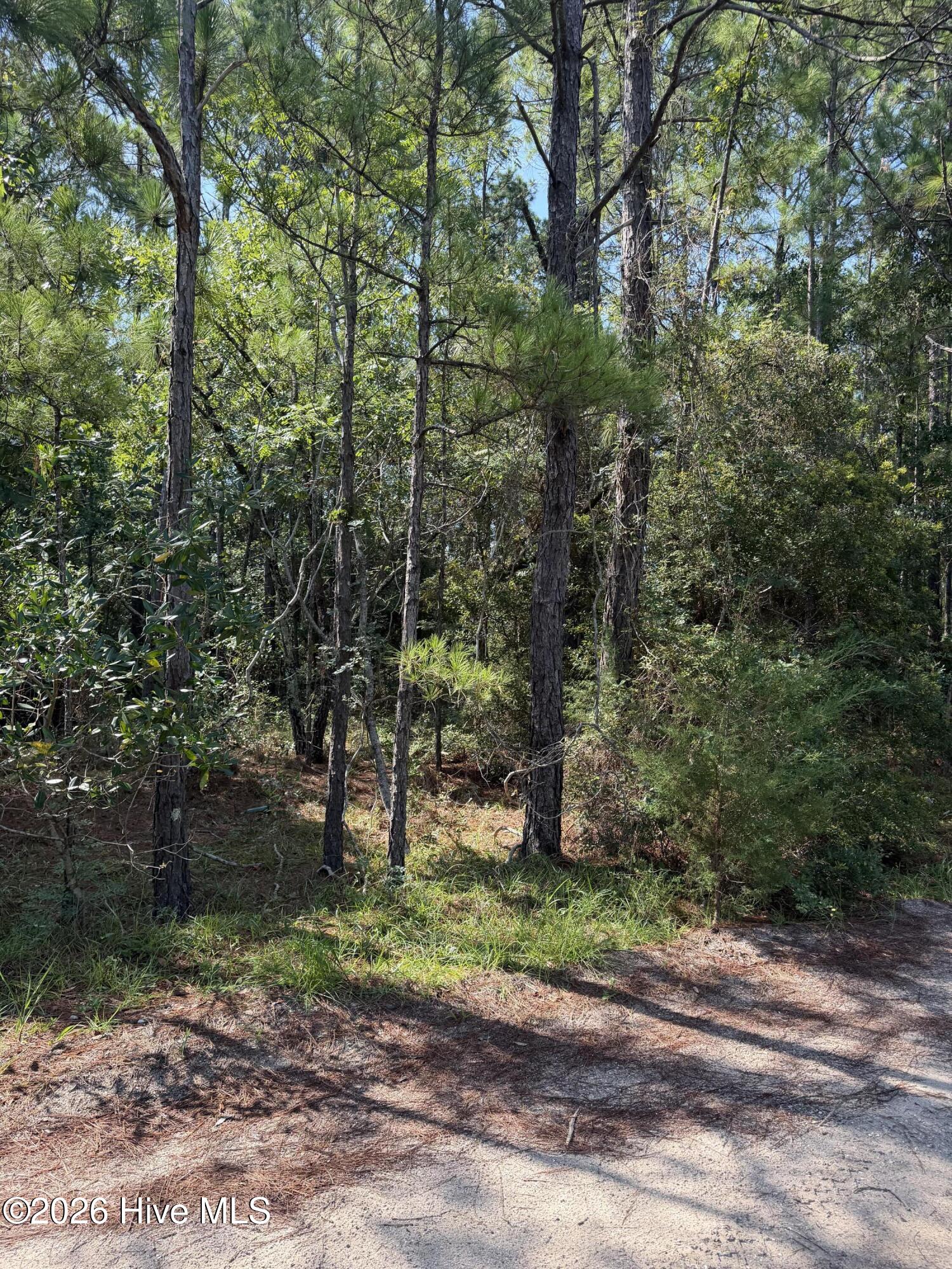 🔥 2861 l-189 Robin Drive SW, Shallotte, NC 28470